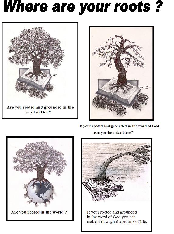 tree.jpg